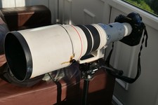 Canon EF 600mm f/4 L USM