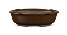 Certrè vaso per bonsai - -,