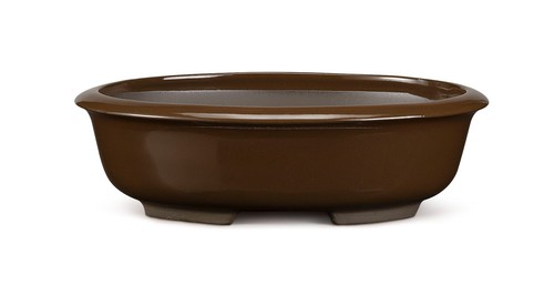 Certrè vaso per bonsai - certrè,