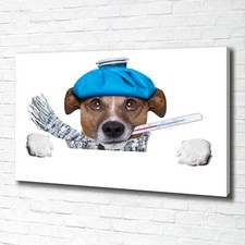 Tulup Dipinto Su Tela Pittura