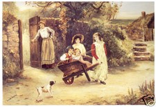 PARSON JACK RUSSELL SMOOTH FOX