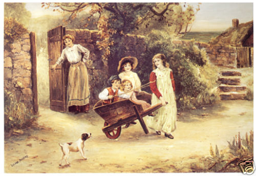 Parson jack russell - parson,