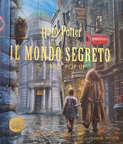 Harry potter mondo - harry,