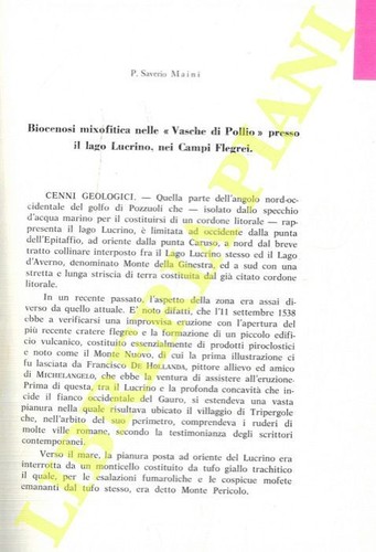 Maini saverio biocenosi - maini,