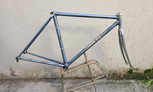 Monti corsa acciaio campagnolo - monti,