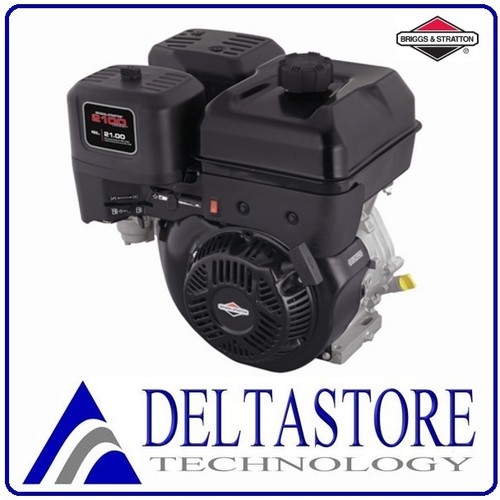 Motore briggs stratton - briggs,