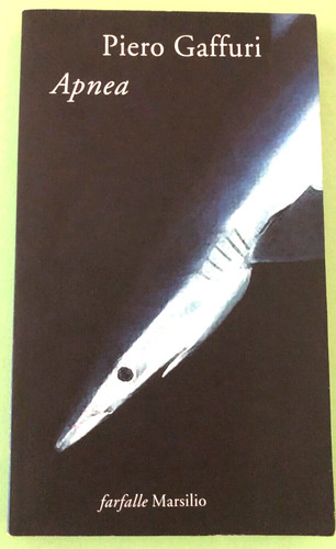 Piero gaffuri apnea 2004 - gaffuri,