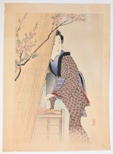 Takeuchi keishū venditore - •,