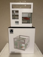 Acquario ciotola pesci Umbra