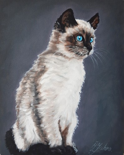 Dipinto gatto animale