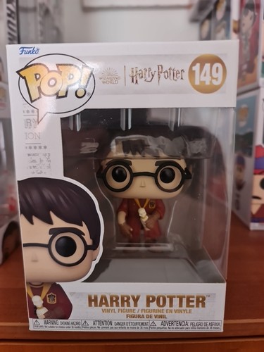 Harry potter quidditch with - harry,