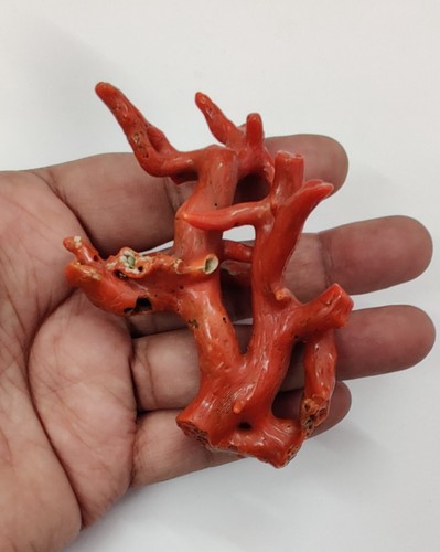 Corallo rosso italiano pietra