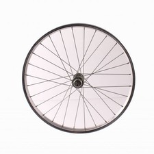 Ruota ciclo ferro - del, 20