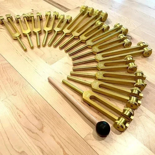 Set forchette tuning - 15, organo