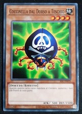 COCCINELLA DAL DORSO A TESCHIO