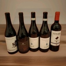 5 Bottiglie Di Vino Rosso
