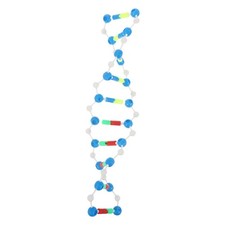  Modello Genetico Dna