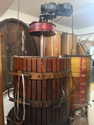 Torchio