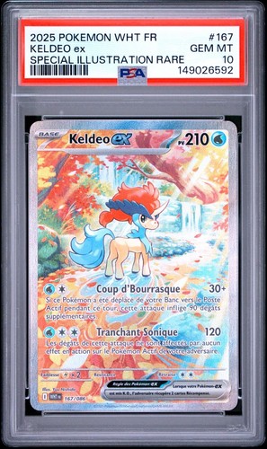 Psa keldeo 167 - psa, ex