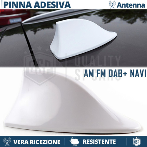 Antenna pinna squalo bianca - di,