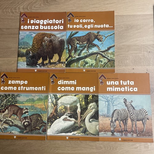 Lotto con periodici mensili - lotto,