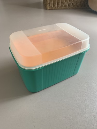 Grande boîte tupperware - grande,
