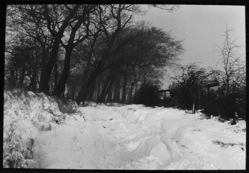 Deep snow winter study - -,