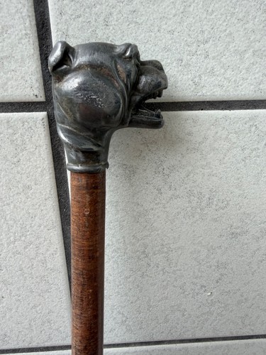 Bastone passeggio antico - bastone,