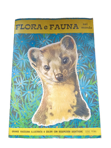 Flora fauna nel mondo - flora, album