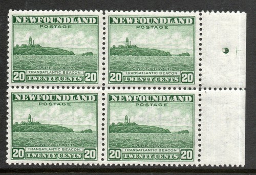 Terranova 1941 20c verde in - 1941-44,