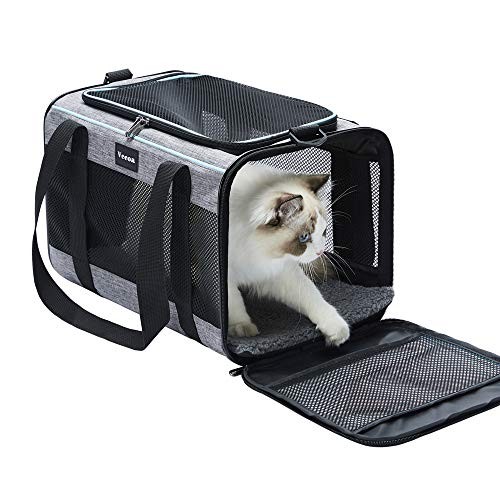 19x12x12 pollici gatto - pollici,