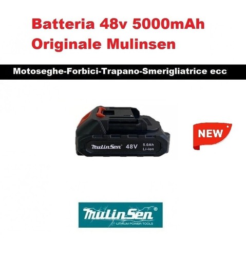 Batteria 48v 5000mah mulinsen - 48v,