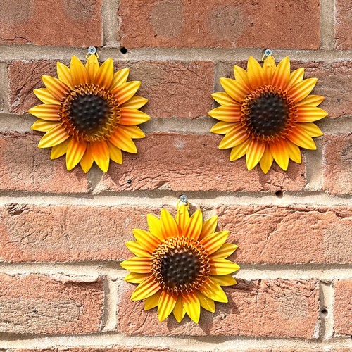 Piccoli girasole giardino - 3,