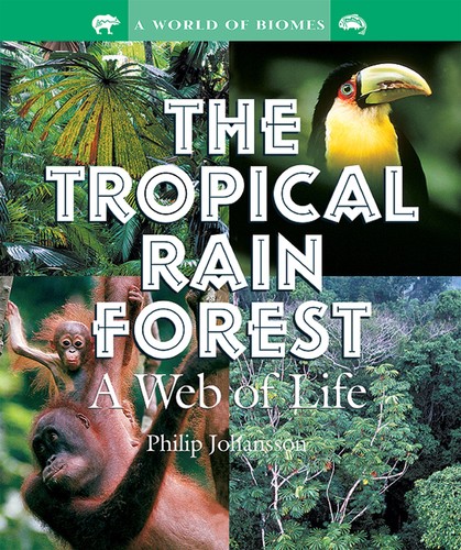 The tropical rain forest - rain, a