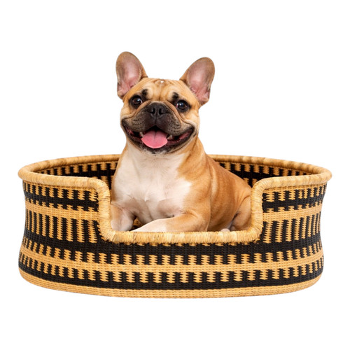 Cuccia per cani africani