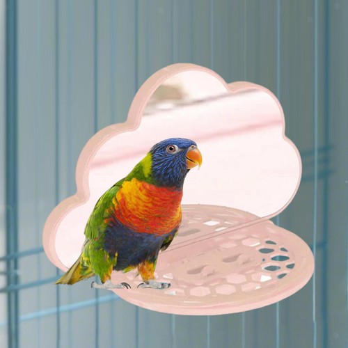 Specchio per uccelli