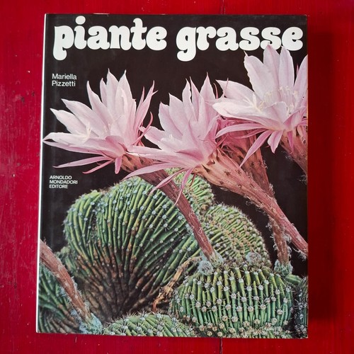Piante grasse mariella - piante,