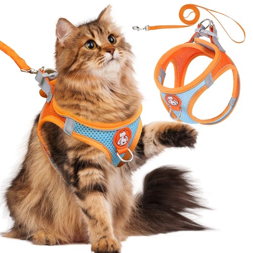 Pettorina per gatti con - gatti,