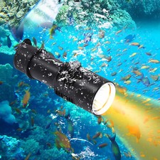 Luce Subacquea, Torcia