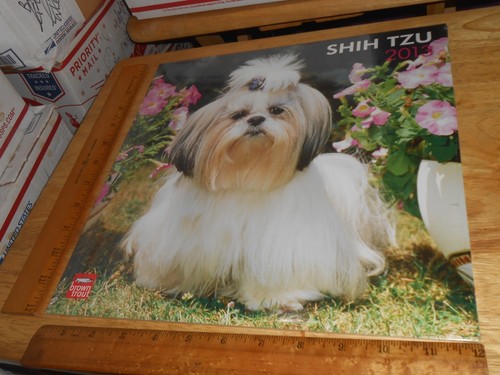 Calendario parete shih tzu - da,
