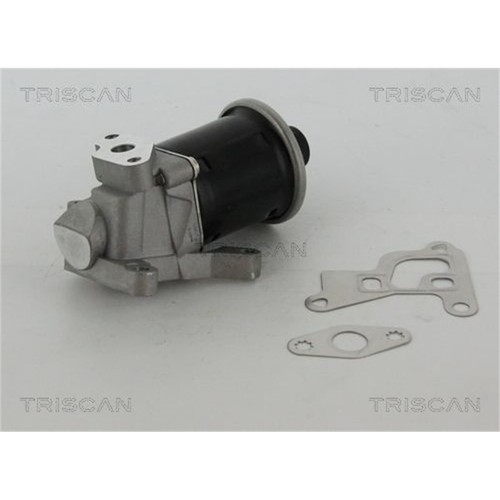 Triscan valvola egr per - egr, seat
