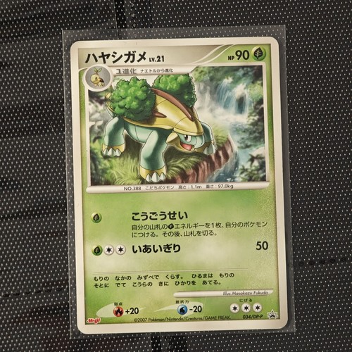 Carte pokemon grotle black - carte,
