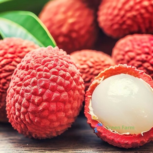 Semi lychee litchi chinensis - semi,