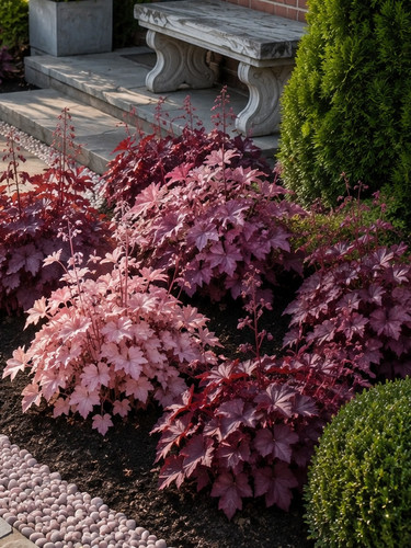 002996a heuchera viola - heuchera,