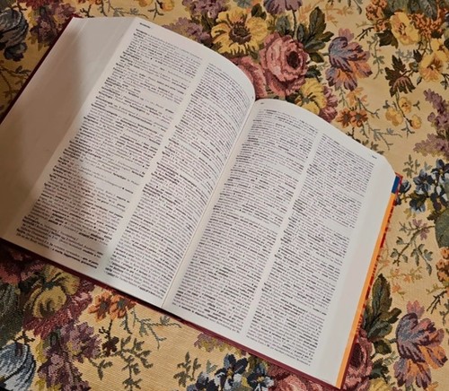 Dit dizionario - il,