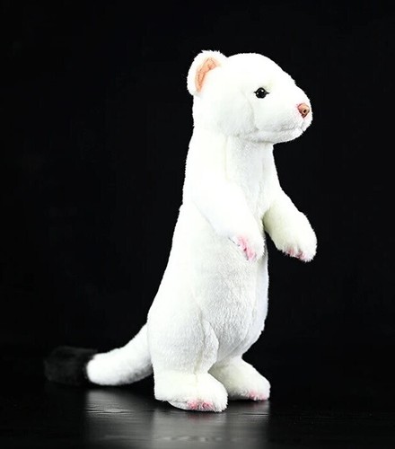 Stoat furetto pollici - stoat, 12