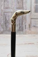 Cane Levriero Cacciatore