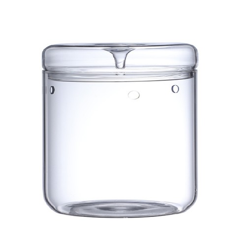 Terrarium verre - terrarium,