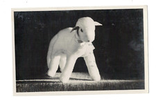 SB4150 PECORA GIOCATTOLO PICCOLA GIOCATTOLI VINTAGE DA VERA CARTOLINA FOTOGRAFICA 1930-40