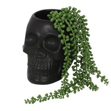 Vaso per piante - , dolomite
